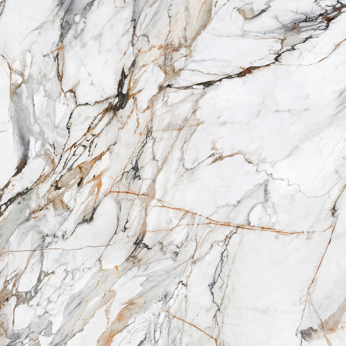 Calacatta Luxe CL01R