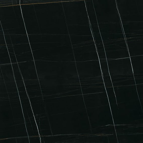 Sahara Noir