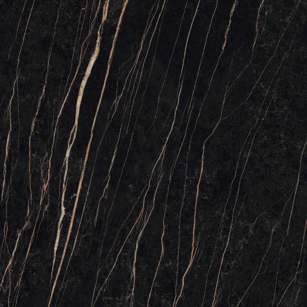 Sahara Noir