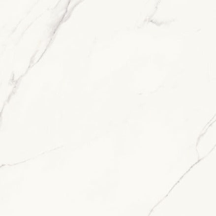 Calacatta Gris